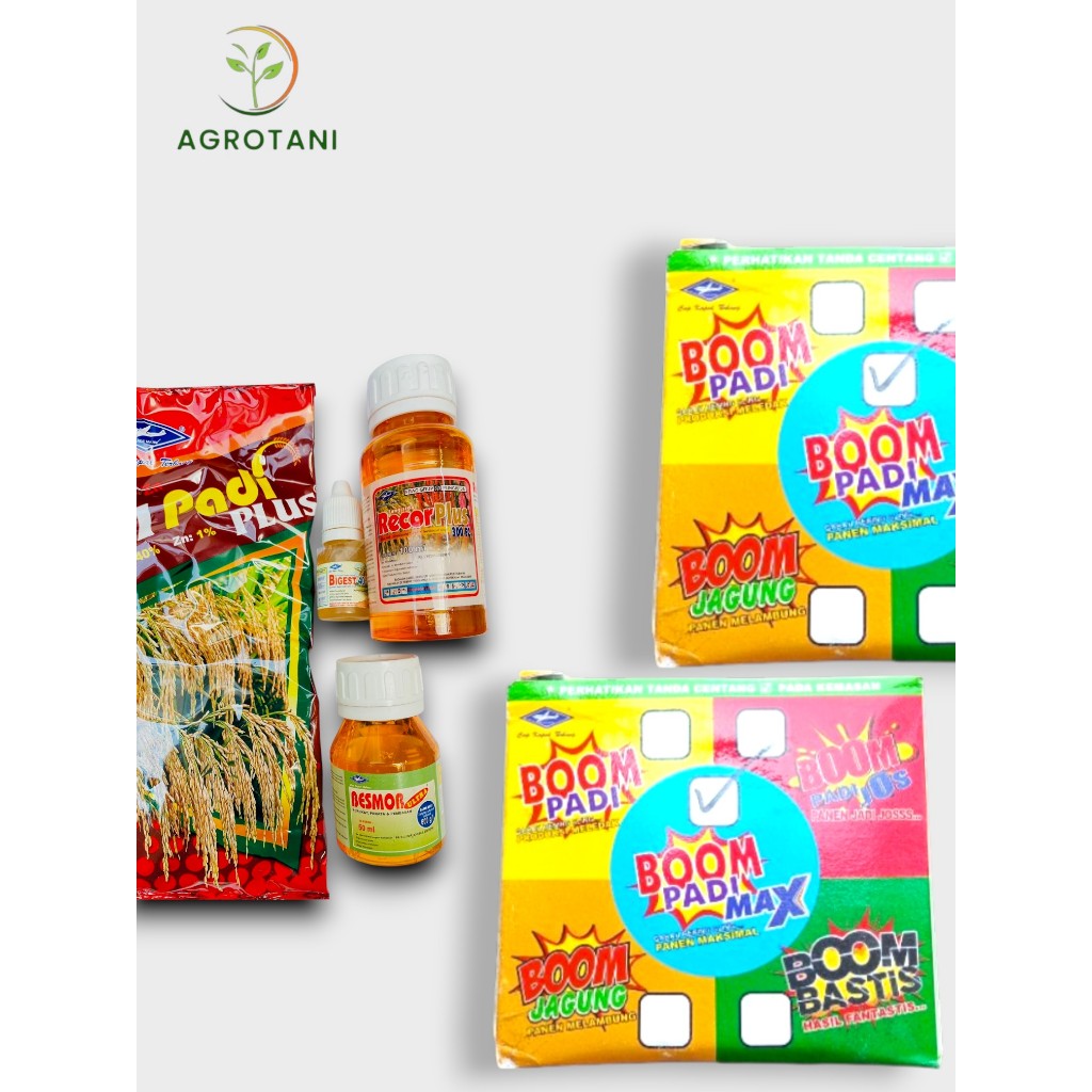 Boom Padi - Cap Kapal Terbang - Kemasan Baru