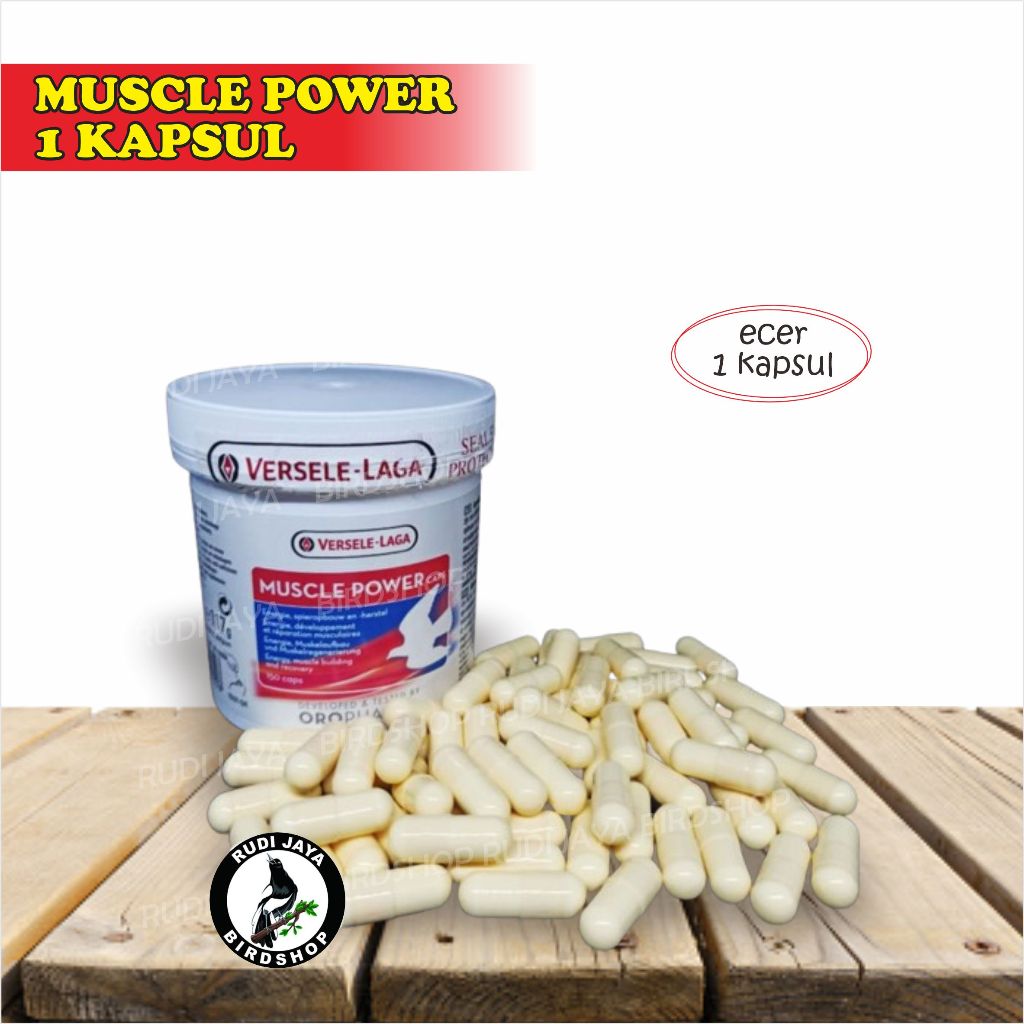 MUSCLE POWER ECERAN 1 PCS VERSELE LAGA VITAMIN OBAT BURUNG MERPATI DARA