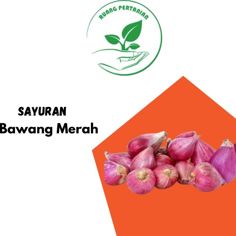 

bawang merah segar | 500g |1kg siap masak