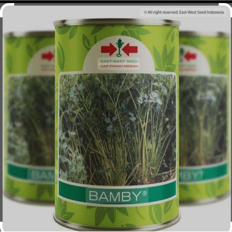 benih seledri Bamby (isi 50 gr)