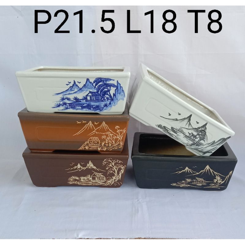 pot bonsai kotak..