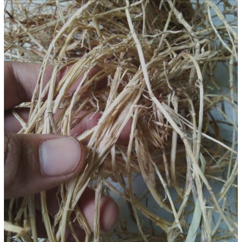 

Akar alang alang 500gram