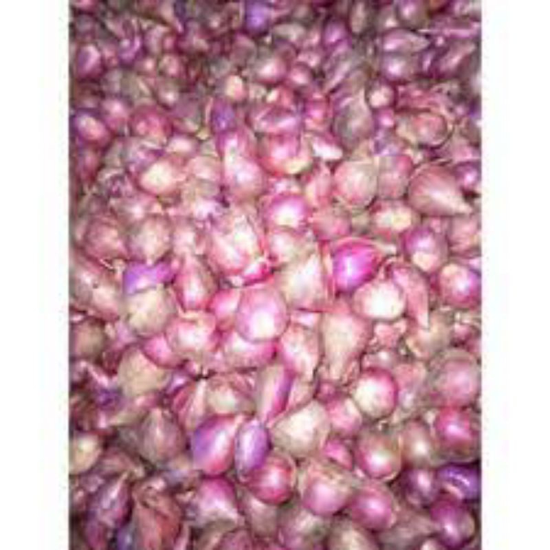 

Bawang Merah 500gr Bawang merah Bumbu Masak Fresh Langsung Dari Petani