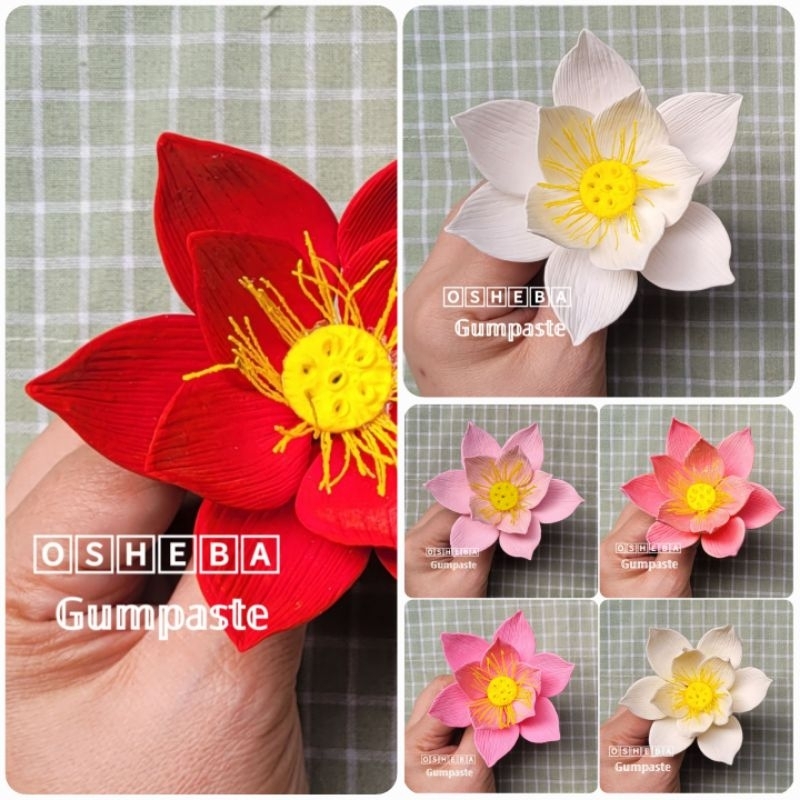 

[osheba] gumpaste bunga bs lotus / teratai sedang 9
