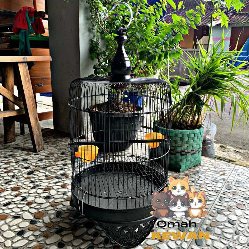 Sangkar Lovebird Tanggung Fullset Kandang Burung Love Bird Lb Pendek Lengkap Gantungan Pion Cepuk Ta