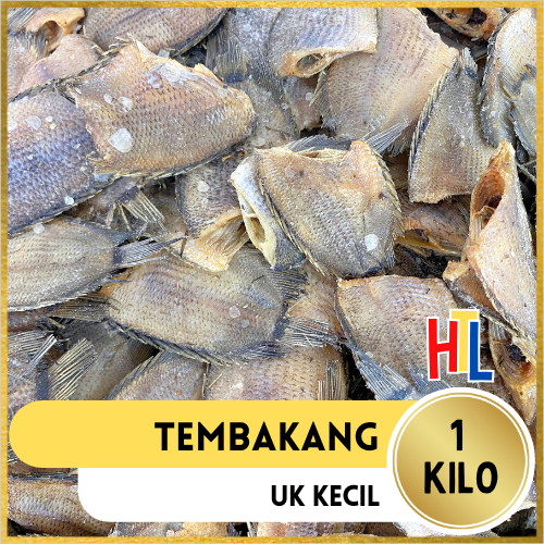 

Ikan Asin Tembakang Kecil | Biawan Kecil | Tambak 1Kg