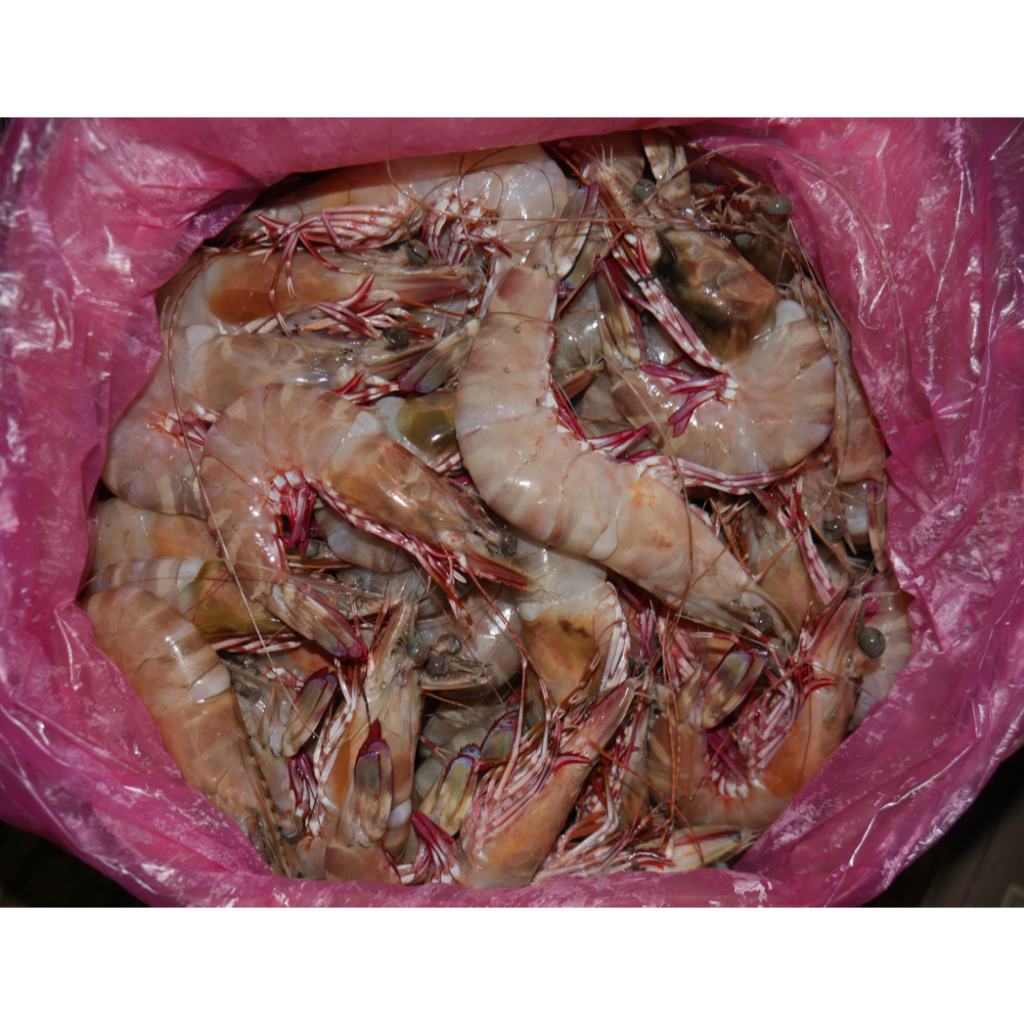 

Udang FLOWER Ukuran Sedang-Besar