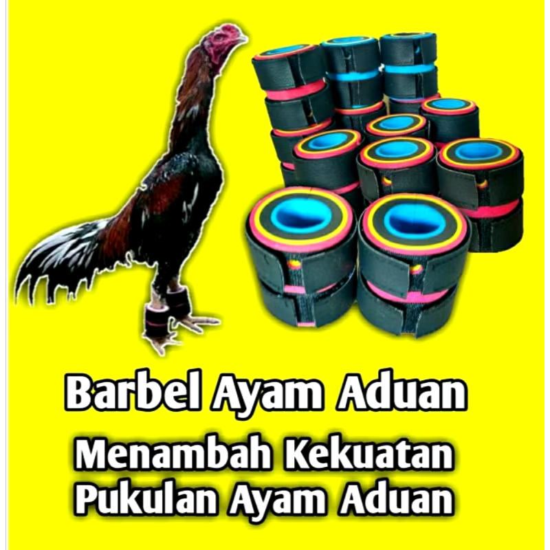 BARBEL PEMBERAT ayam aduan barbel UNTUK MENAMBAH keuatan kaki ayam aduan paket lengkap sampai 500 gr