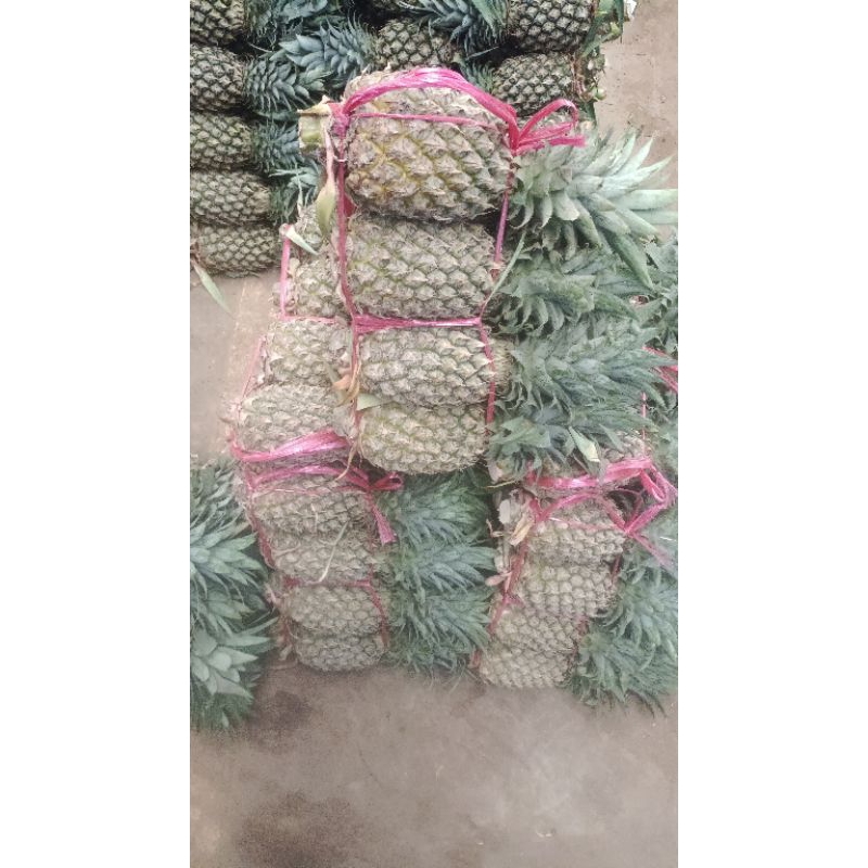 

Nanas palembang cocok sekali untuk isian nastar/Selai 12 rb/pcs.