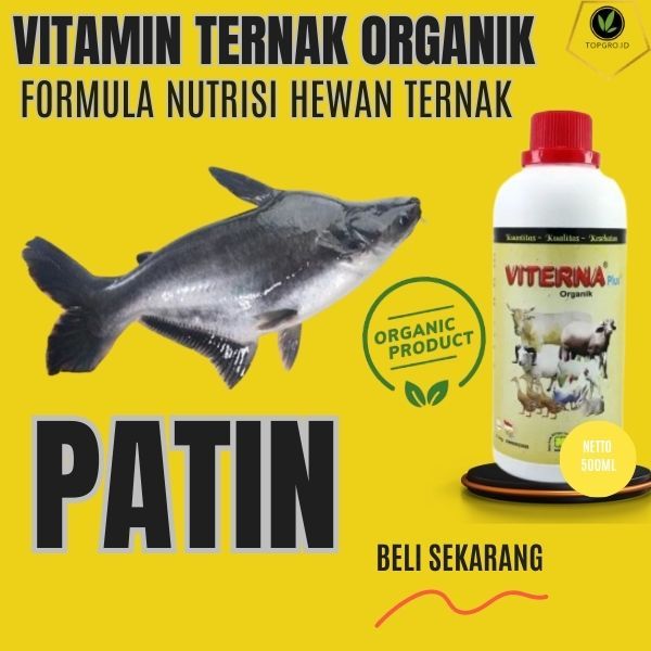 Vitamin Ikan Patin / Vitamin Ikan Patin Cepat Besar / Vitamin Ikan Patin Segar / Albino / Jumbo