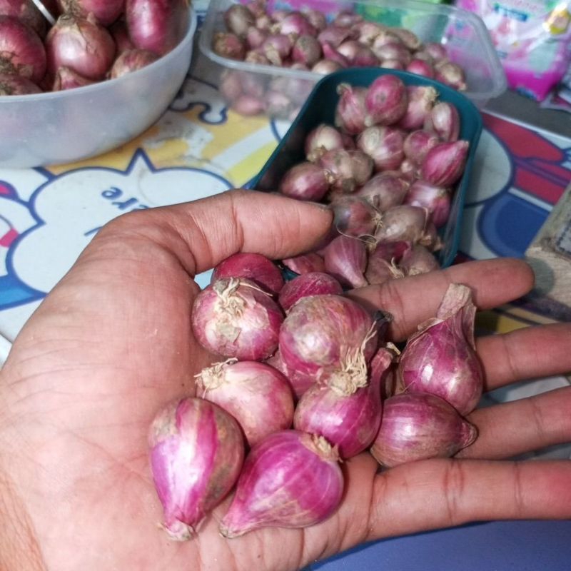 

Bawang Merah Lokal UK Sedang 1kg