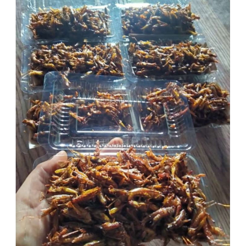 

BELALANG GORENG KEMASAN MIKA (MURAH,EKONOMIS DAN HEMAT DIKANTONG)