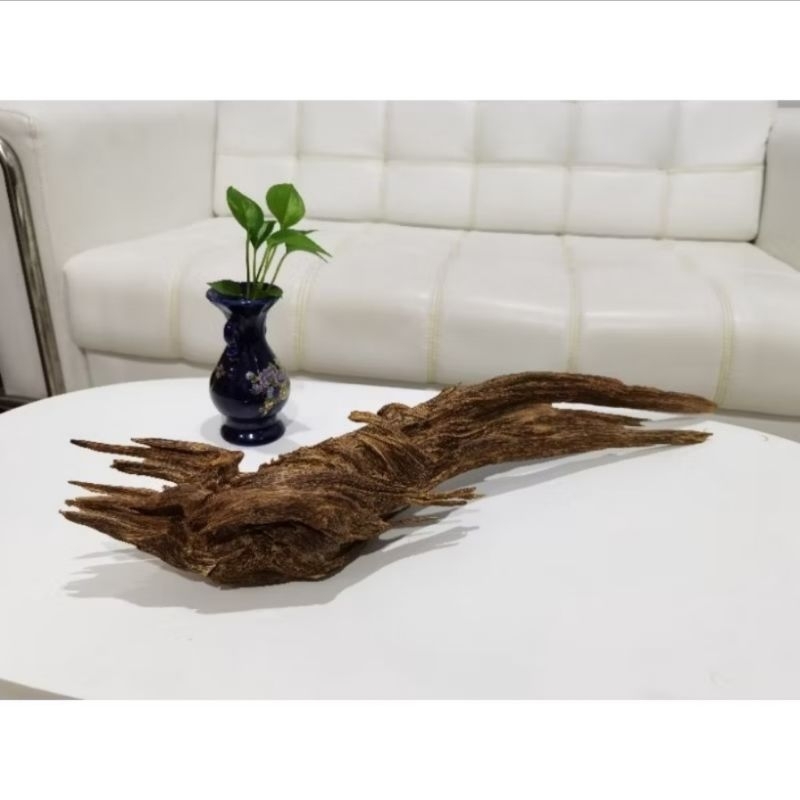 10000agarwood gaharu dekor Tarakan Kalimantan agarwood chenxiang