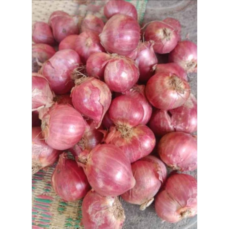 

brambang merah 1kg
