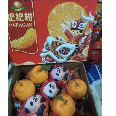 

Buah jeruk dekopon papagan barongsai -+4 kg