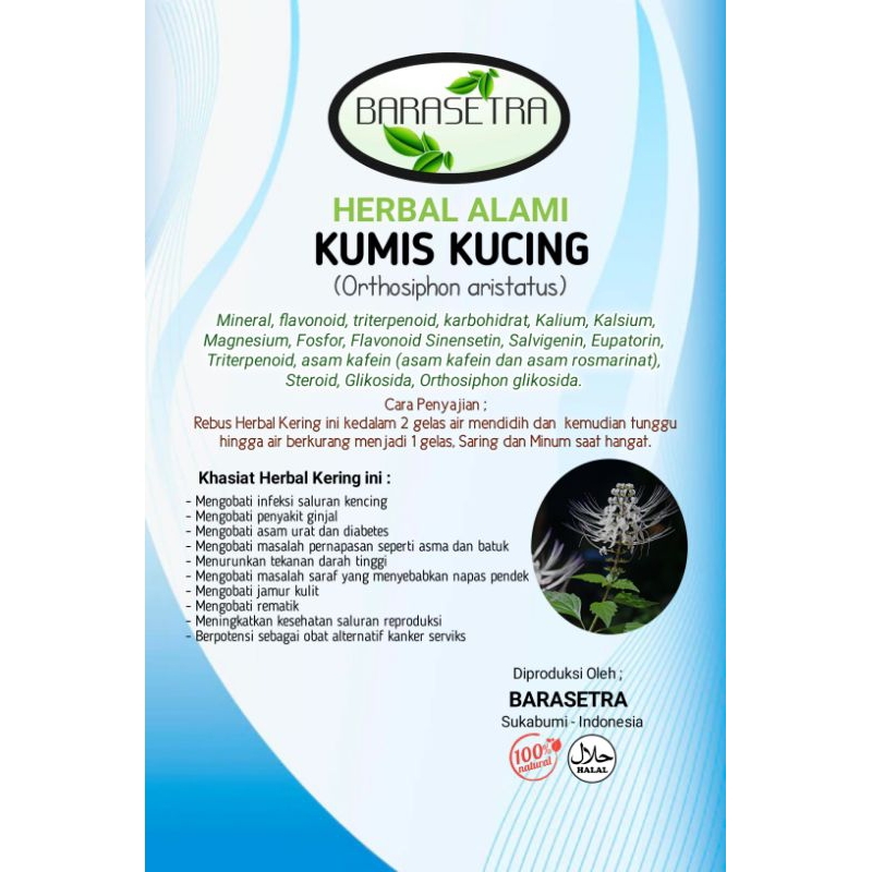 

POHON KUMIS KUCING tanaman yang memiliki segudang manfaat untuk kesehatan tubuh manusia. sebagai alternatif herbal tradisional. segera Order disini kak di toko kami dan kami akan memberikan kualitas pengiriman barang Terbaik dengan packaging yang rapi.