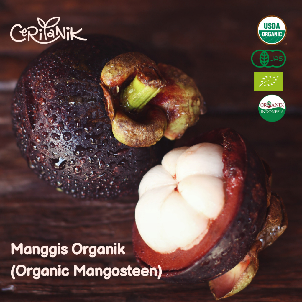 

Manggis Organik 500 gr - Organic Certified Mangosteen 500 gr - USDA, EU, JAS, and SNI Organic certificated