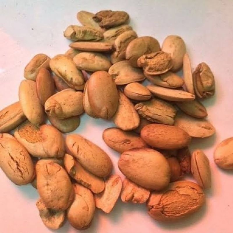 

Biji Kedawung Snack Herbal Super Renyah Kiloan 1Kg