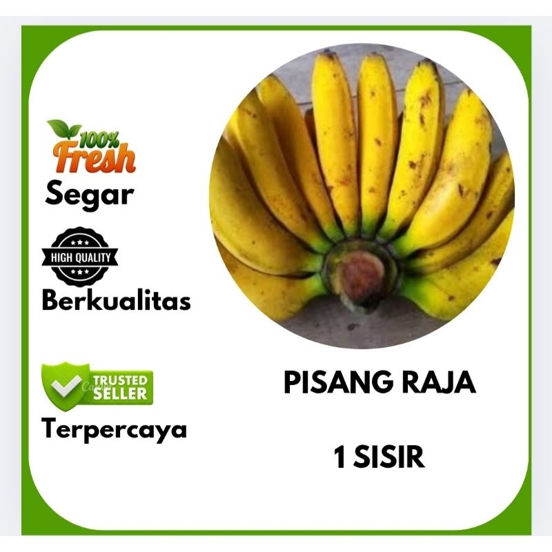 

PISANG RAJA | 1 SISIR | Bahan Dapur .id