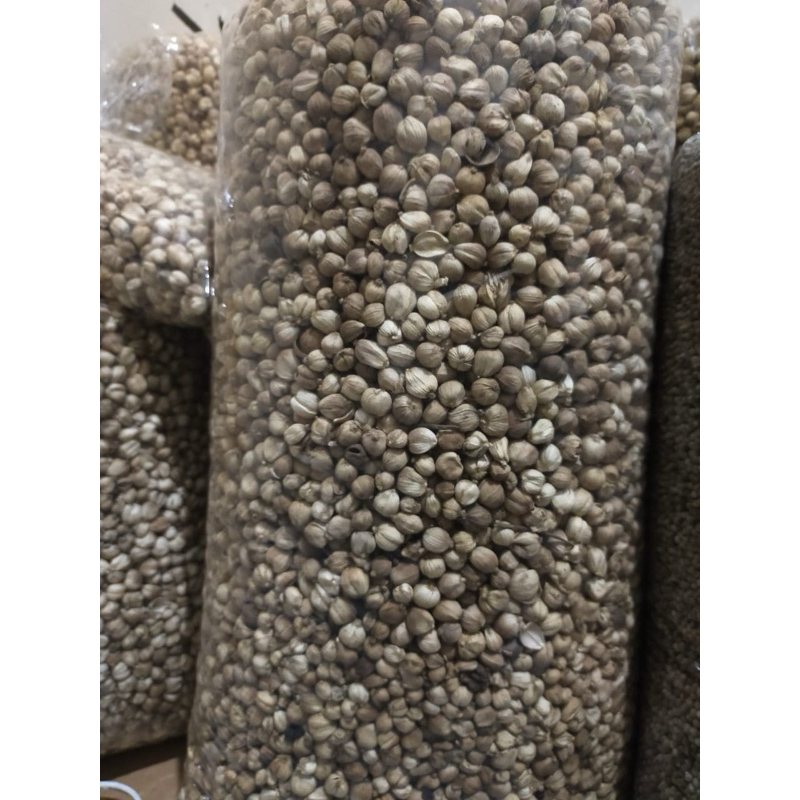

KAPULAGA PUTIH SUPER KERING 1 KG/500g