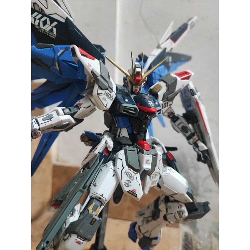 MG freedom Gundam 2.0 Daban 1/100 semi junk