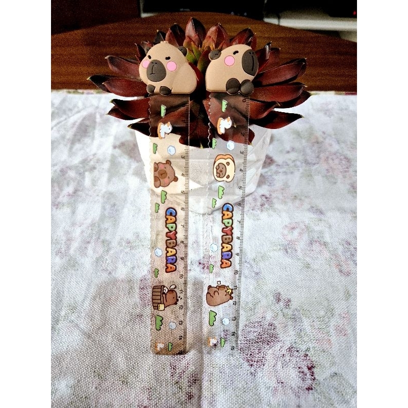 

Penggaris Capybara / Capybara Ruler