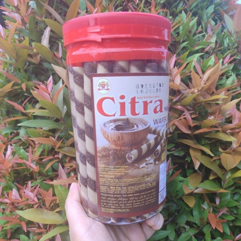 

WAFER STICK CITRA MILLENIUM MIRIP ASTOR 235GR