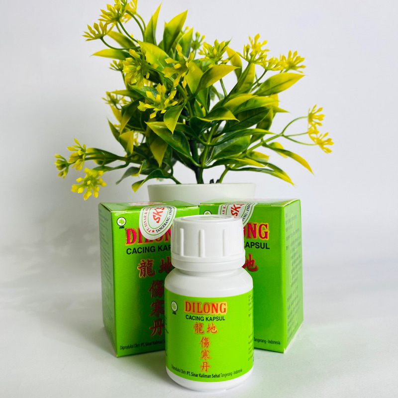 Dilong Cacing Kapsul