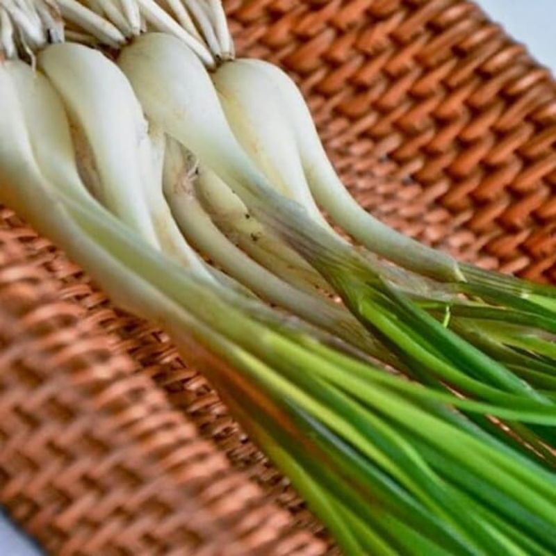 

Terbaik kuncai sayur freshh 1 ikat bersihh