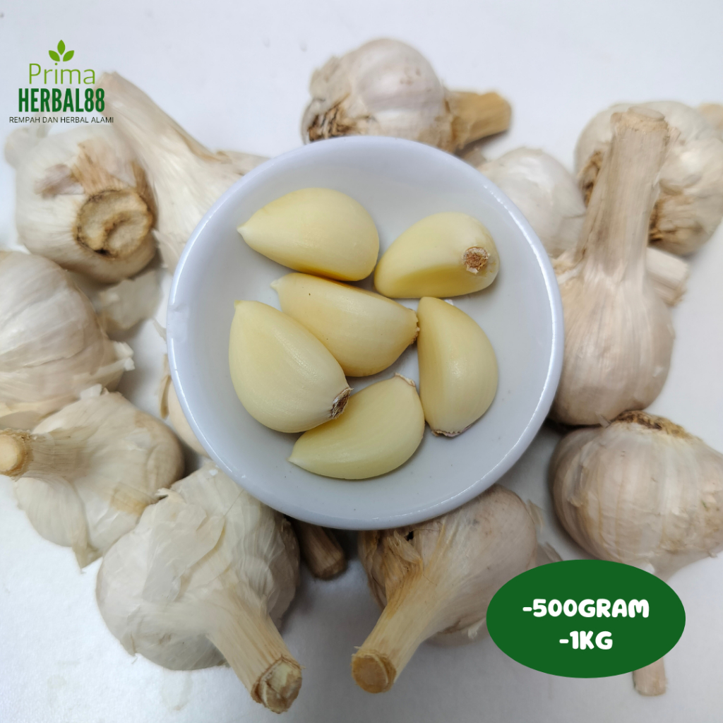 

BAWANG KATING |BAWANG PUTIH KATING SUPER
