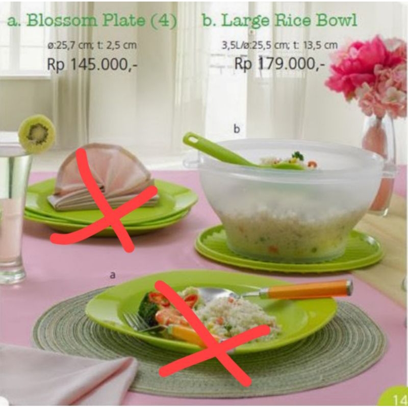 Large Rice Bowl Tupperware