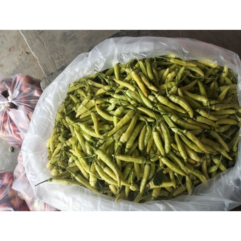 

Cabe Hijau Lalapan 500gr