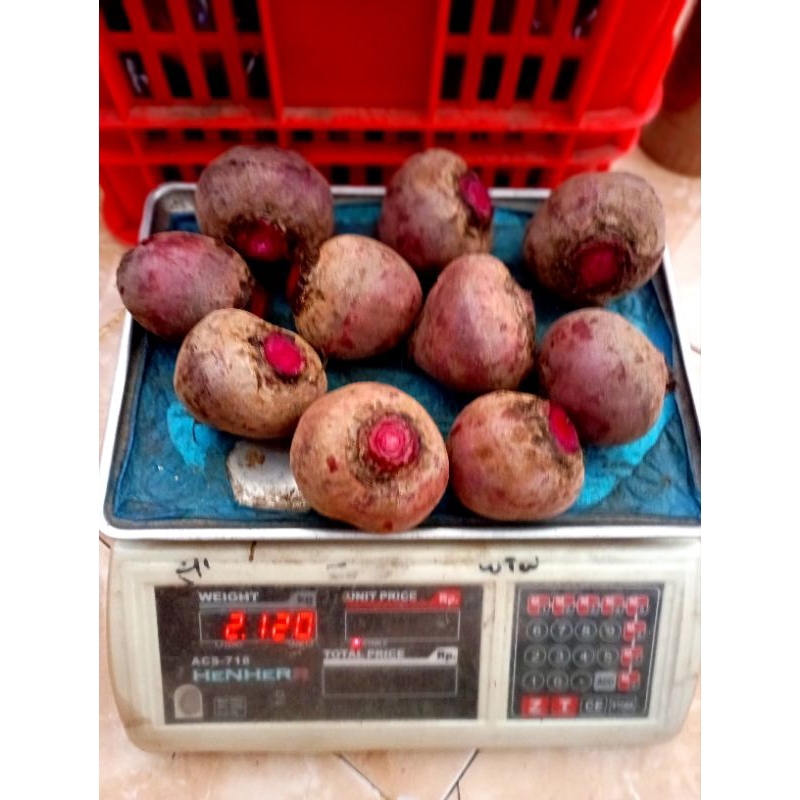 

BUAH BIT 1KG TANPA TANGKAI FRESH