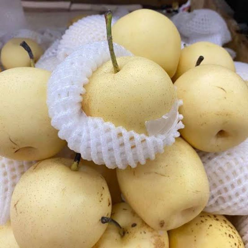 Buah pir century 1kg/ pir century 1kg/ buah pir segar fresh