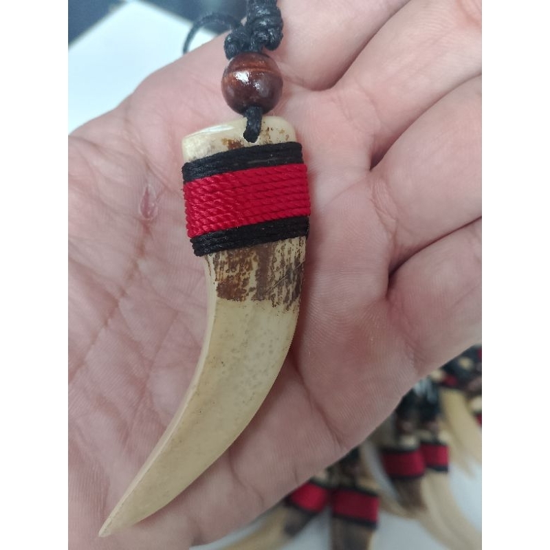 kalung etnik taring babi