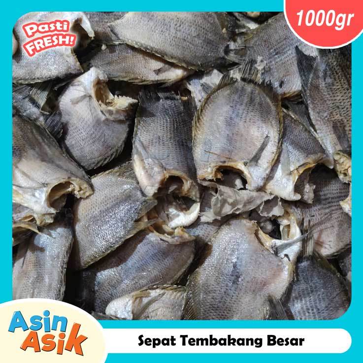 

Ikan Sepat Tembakang Asin Mantap Berkualitas 1Kg Kemasan Vakum Higienis