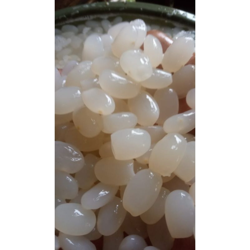 

Kolang Kaling Super 1 kg