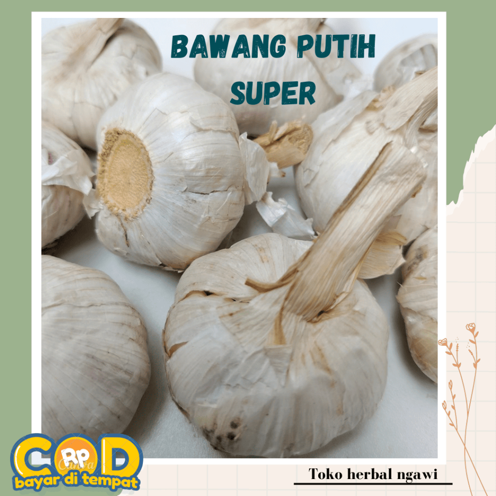 

Bawang Putih Biasa Bahan Masakan Pedas