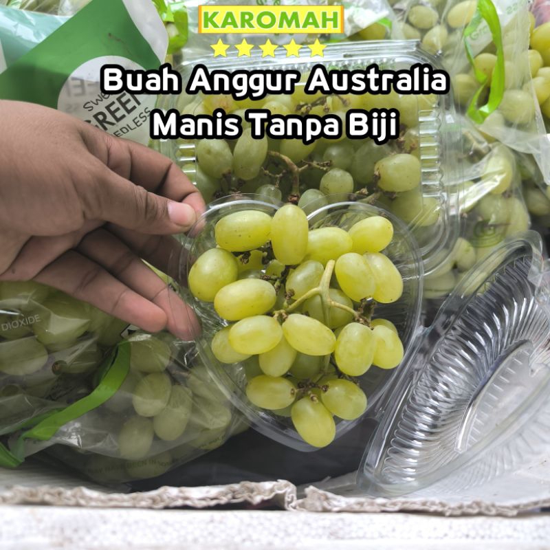 

ANGGUR HIJAU AUSTRALIA TANPA BIJI KEMASAN 250gram FRESH & MANIS / BUAH ANGGUR AUSTRALIA HIJAU TANPA BIJI IMPPORT BUKA PUASA