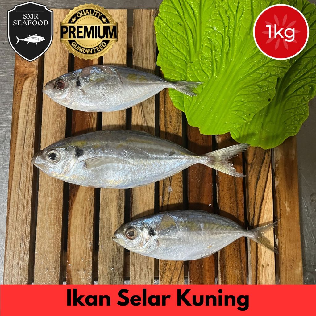 

Ikan Selar Kuning / Yellowstripe Scad | Frozen Beku Utuh 1KG