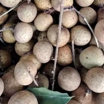 

klengkeng thailand 1kg