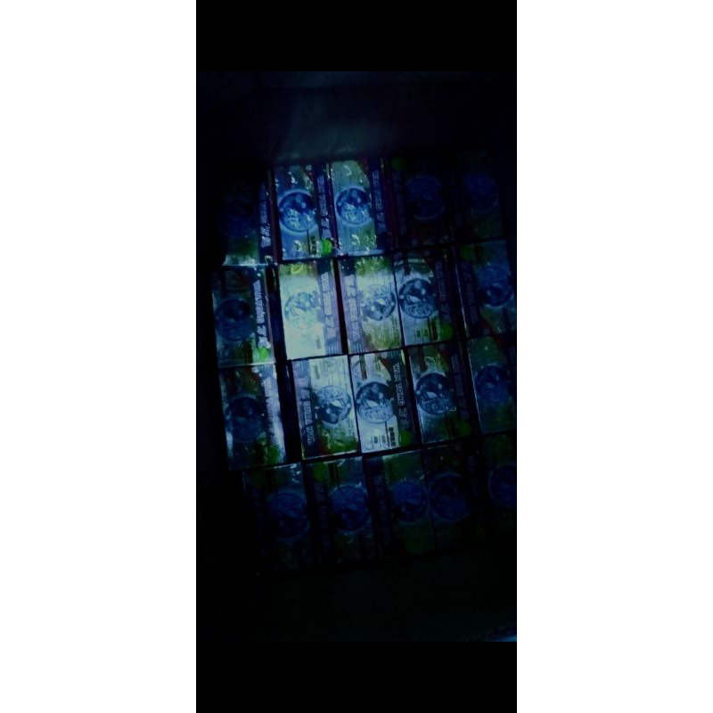 

WS asli