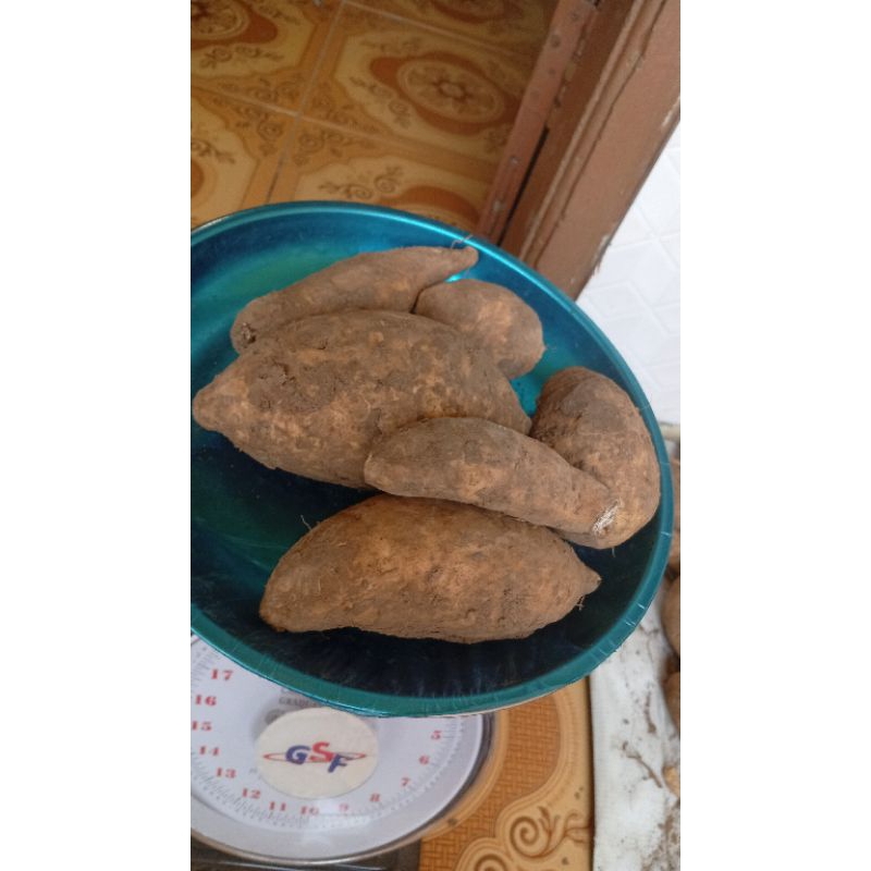 

Ubi Cilembu Madu Mentah