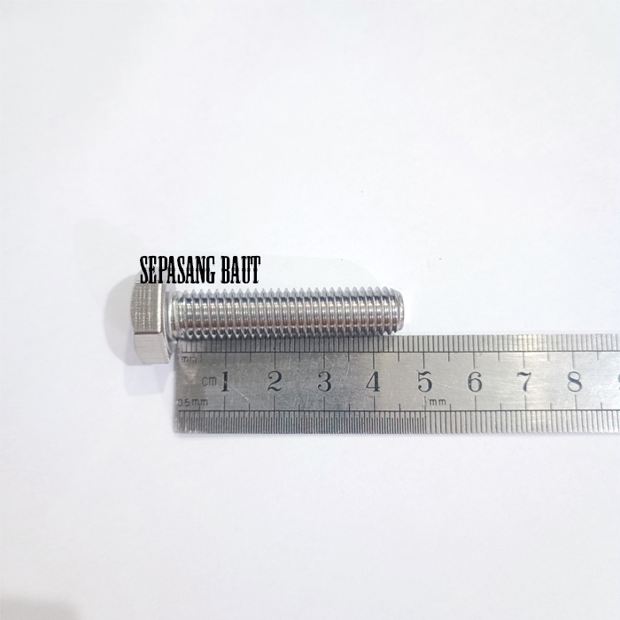 M10 x 45 Baut Hexagon Stainless 304 M10x45