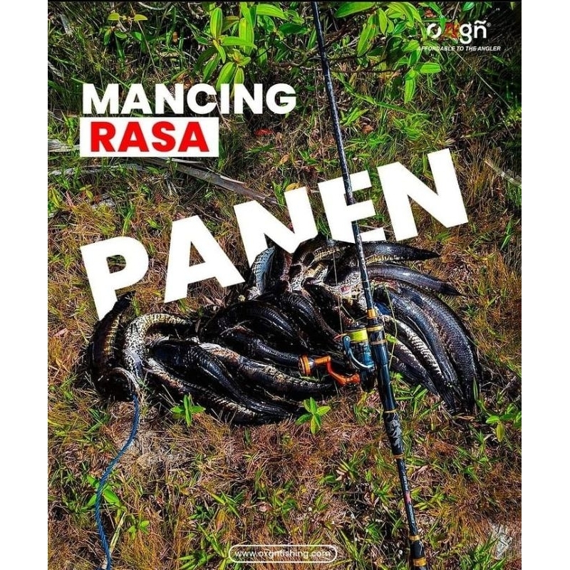 JORAN OXGN CORZZI CT 602 MLC 8-17 LB / JORAN BC HOLLOW 180