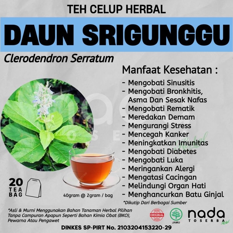 

Teh Celup Herbal DAUN SRIGUNGGU Isi 20 Tea Bag | Gurah, Sinusitis, Asma Dan Bronkhitis | Clerondendron Serratum