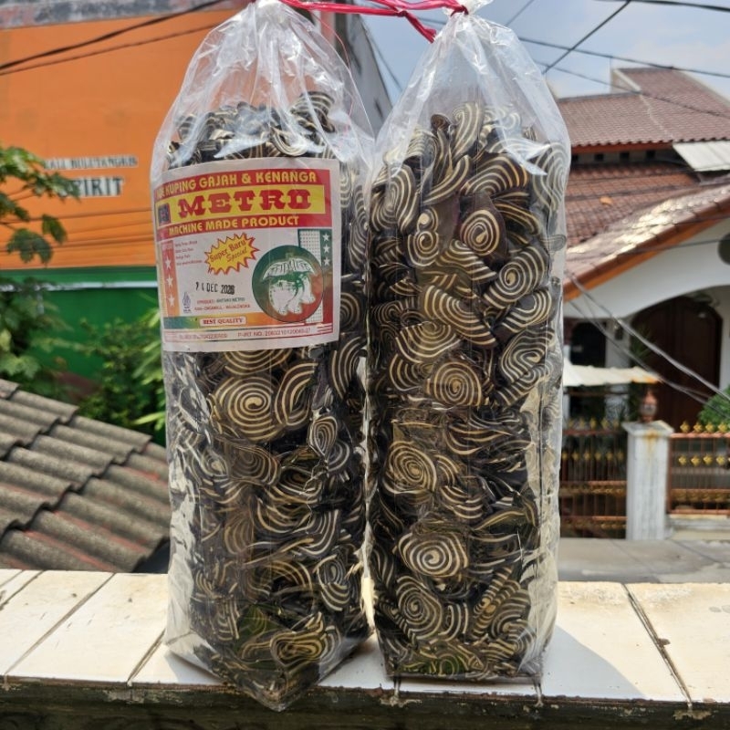 

KUPING GAJAH BESAR 1 BALL