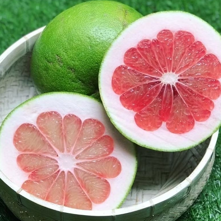 

Buah Jeruk Pamelo Merah 1pcs Manis IgnacioBox