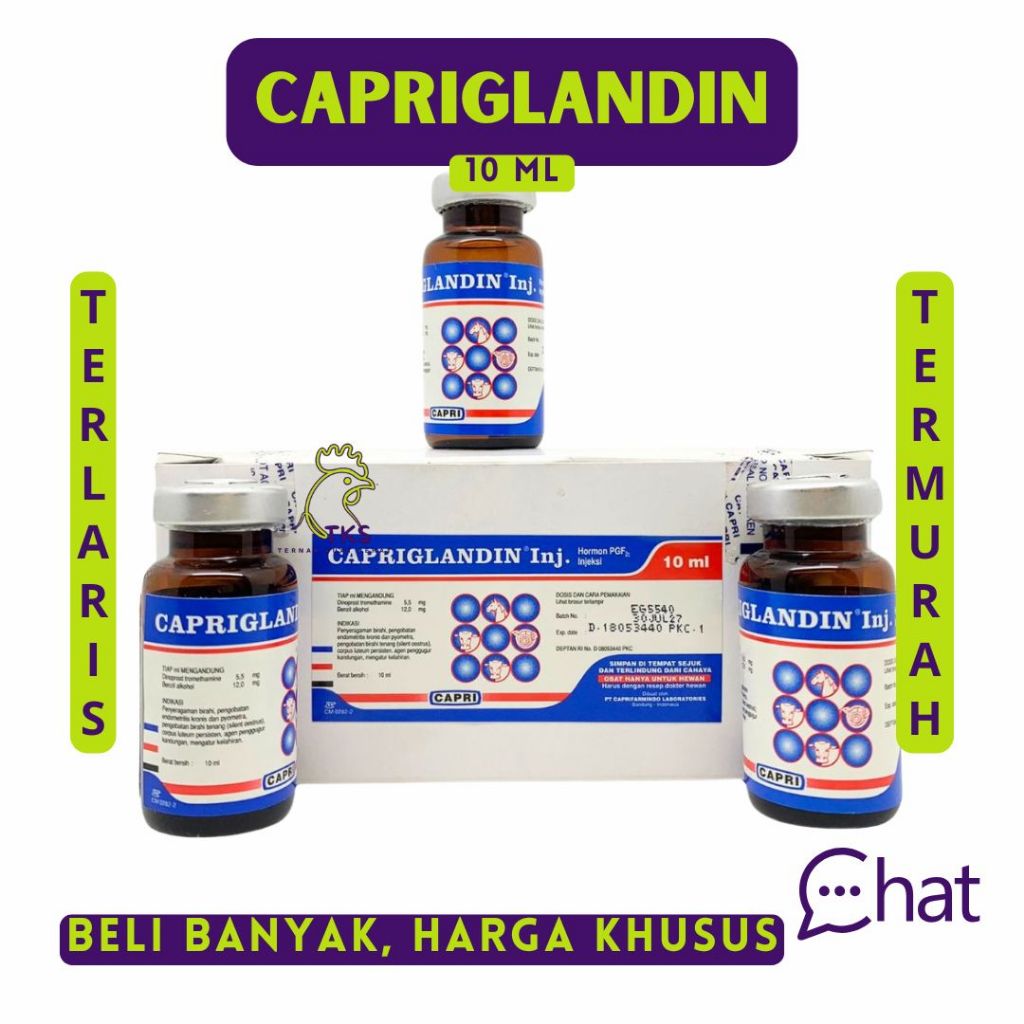 CAPRIGLANDIN INJ 10 ml - Obat Birahi Hewan, Hormon Sinkronisasi Estrus Sapi Kambing Domba kuda Kucin