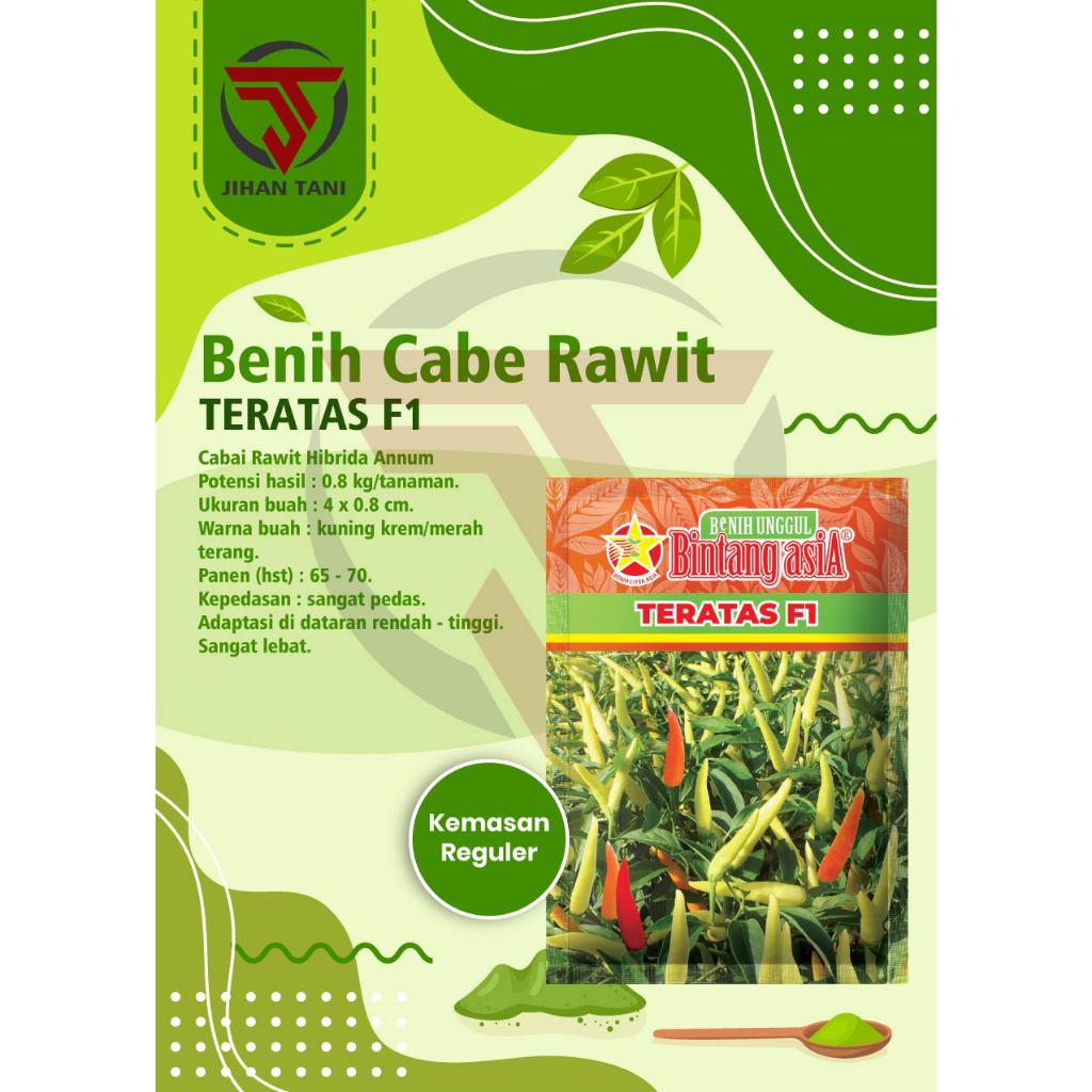 Benih Cabe Rawit ( LENTERA ) TERATAS F1 10 gram Bintang asiA